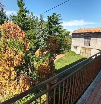 Foto annuncio 19