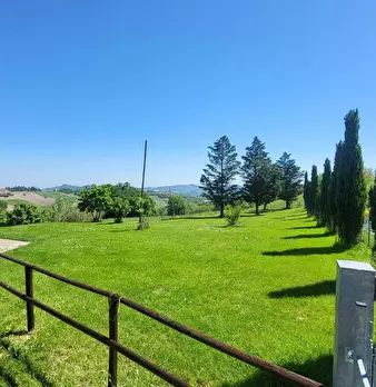 Foto annuncio 8