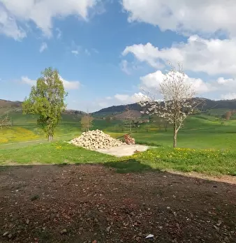 Foto annuncio 45