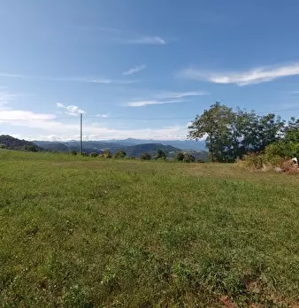 Foto annuncio 42