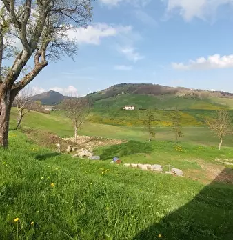 Foto annuncio 25