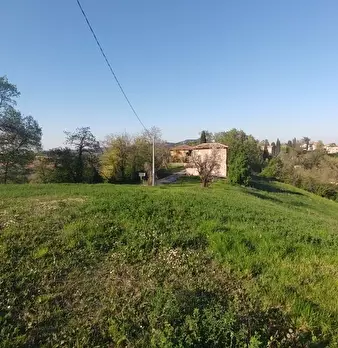 Foto annuncio 10