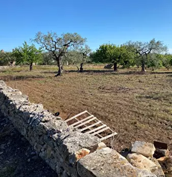Foto annuncio 6