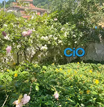 Foto annuncio 9