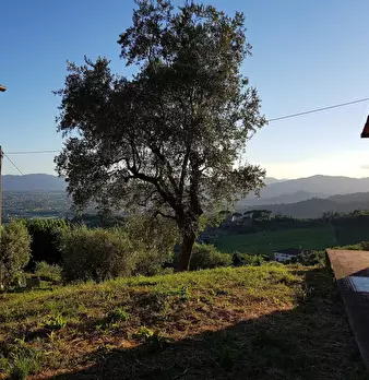 Foto annuncio 7