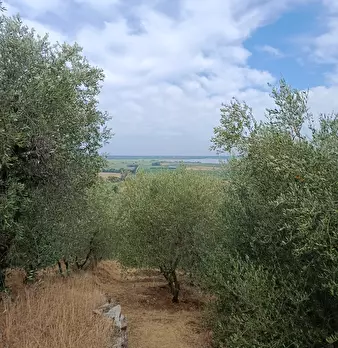 Foto annuncio 2
