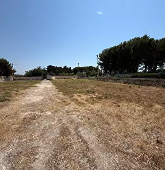 Foto annuncio 2