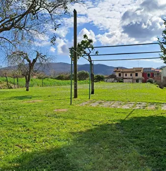 Foto annuncio 29