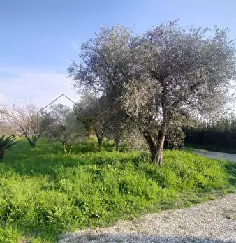 Foto annuncio 13