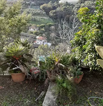 Foto annuncio 19