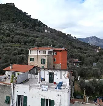 Foto annuncio 29