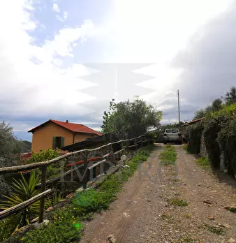 Foto annuncio 36