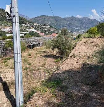 Foto annuncio 29