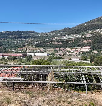 Foto annuncio 9