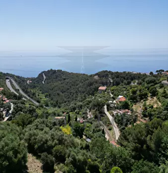 Foto annuncio 31