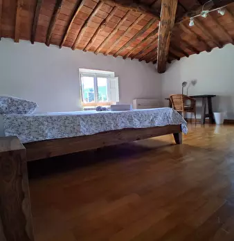 Foto annuncio 16