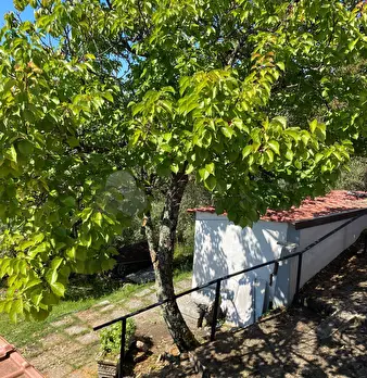 Foto annuncio 47