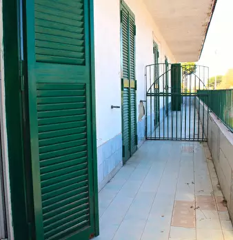 Foto annuncio 9