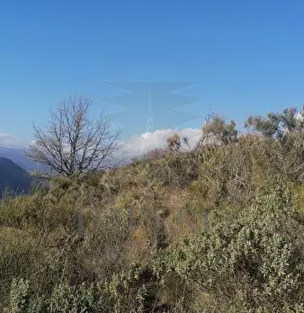 Foto annuncio 21
