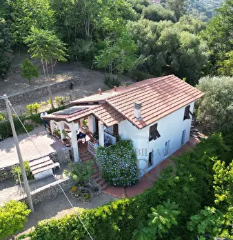 Foto annuncio 18