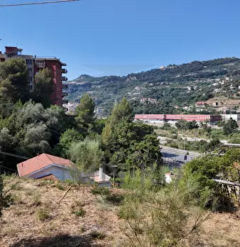 Foto annuncio 11