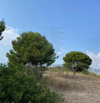 Foto annuncio 12