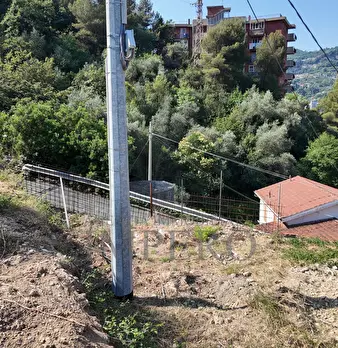 Foto annuncio 26