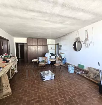 Foto annuncio 68