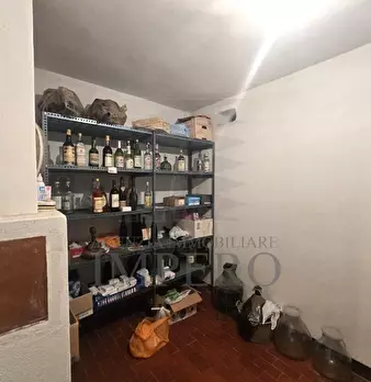 Foto annuncio 59