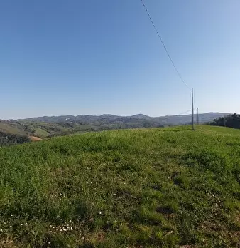 Foto annuncio 6