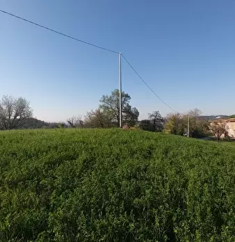 Foto annuncio 9