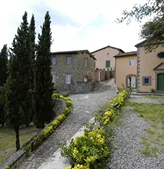 Foto annuncio 68