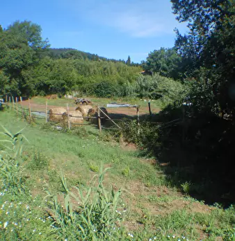 Foto annuncio 12