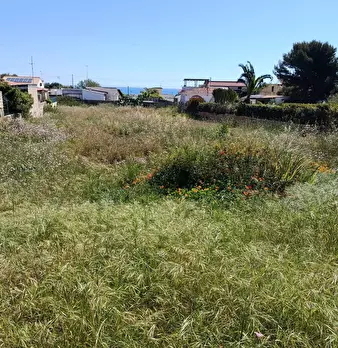 Foto annuncio 5