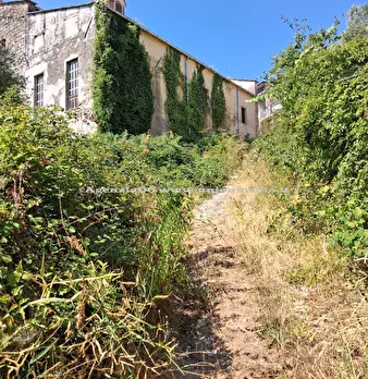 Foto annuncio 5
