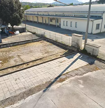 Foto annuncio 30