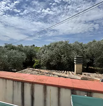 Foto annuncio 46