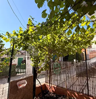 Foto annuncio 28