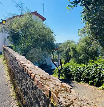 Foto annuncio 44