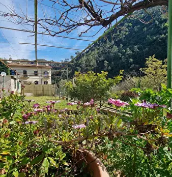 Foto annuncio 19