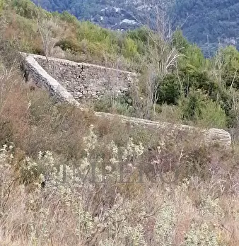 Foto annuncio 20