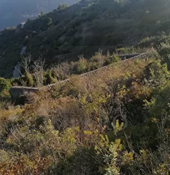 Foto annuncio 23