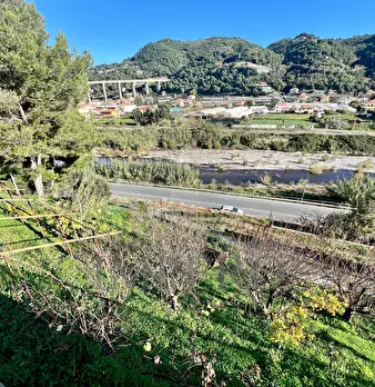 Foto annuncio 44