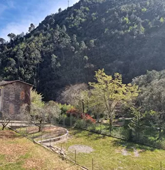 Foto annuncio 15