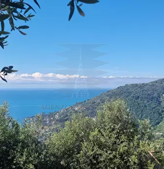 Foto annuncio 29