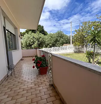 Foto annuncio 24
