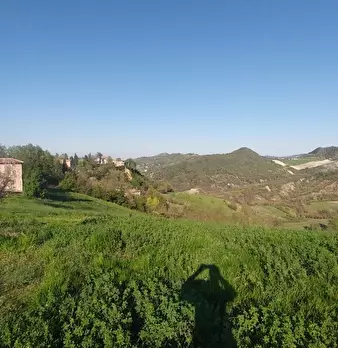Foto annuncio 2