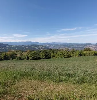 Foto annuncio 45