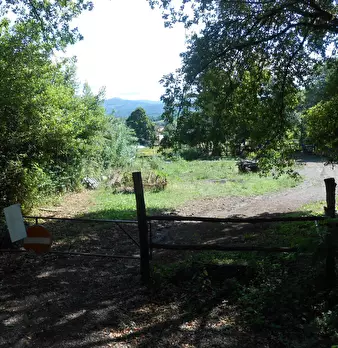 Foto annuncio 11