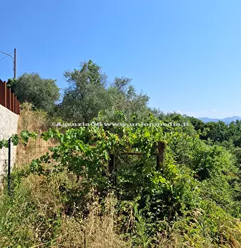 Foto annuncio 2